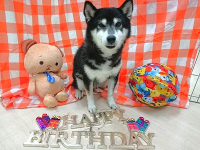 お誕生日おめでとう🎂💕