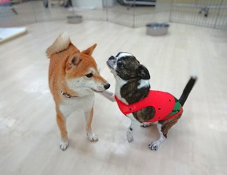 仲良し💕