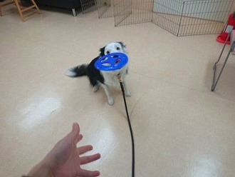きた!!