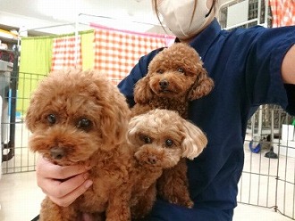 ぎゅうぎゅう😖