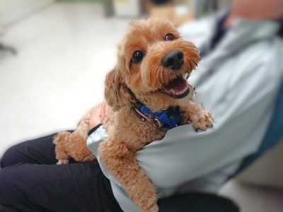 笑顔😊