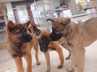 プチ同窓会😙