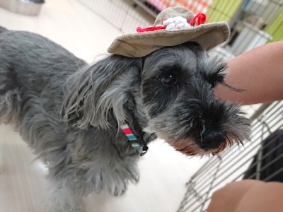 オシャレさん💗
