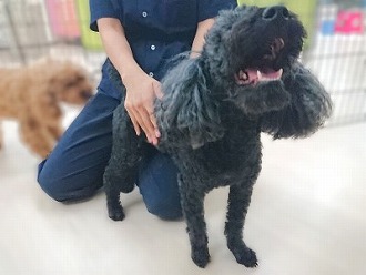 えへへー😊💘
