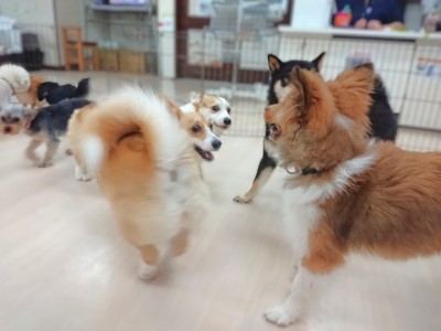お尻アピール🎵