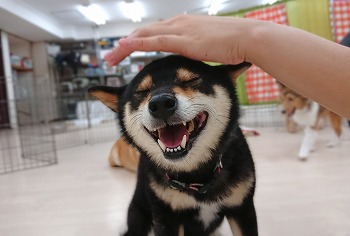 喜び💕💕