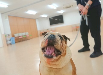 キャッチ‼😆