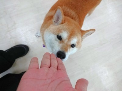 ごあいさつ🍀