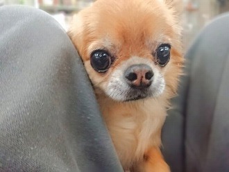 スッポリ😳