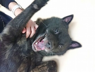 は～い！