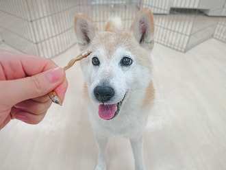 早くたべたい💕💕