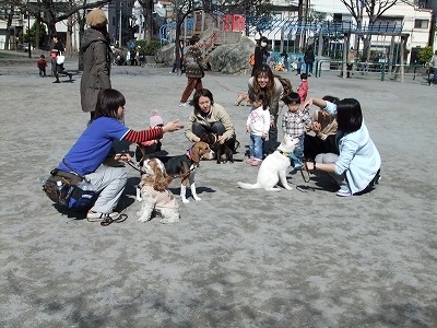 ソラちゃんのしつけ　北海道犬　１２