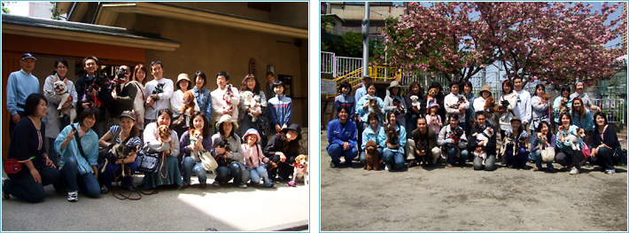 2009年4月19日／しつけ教室／お花見イベント集合写真