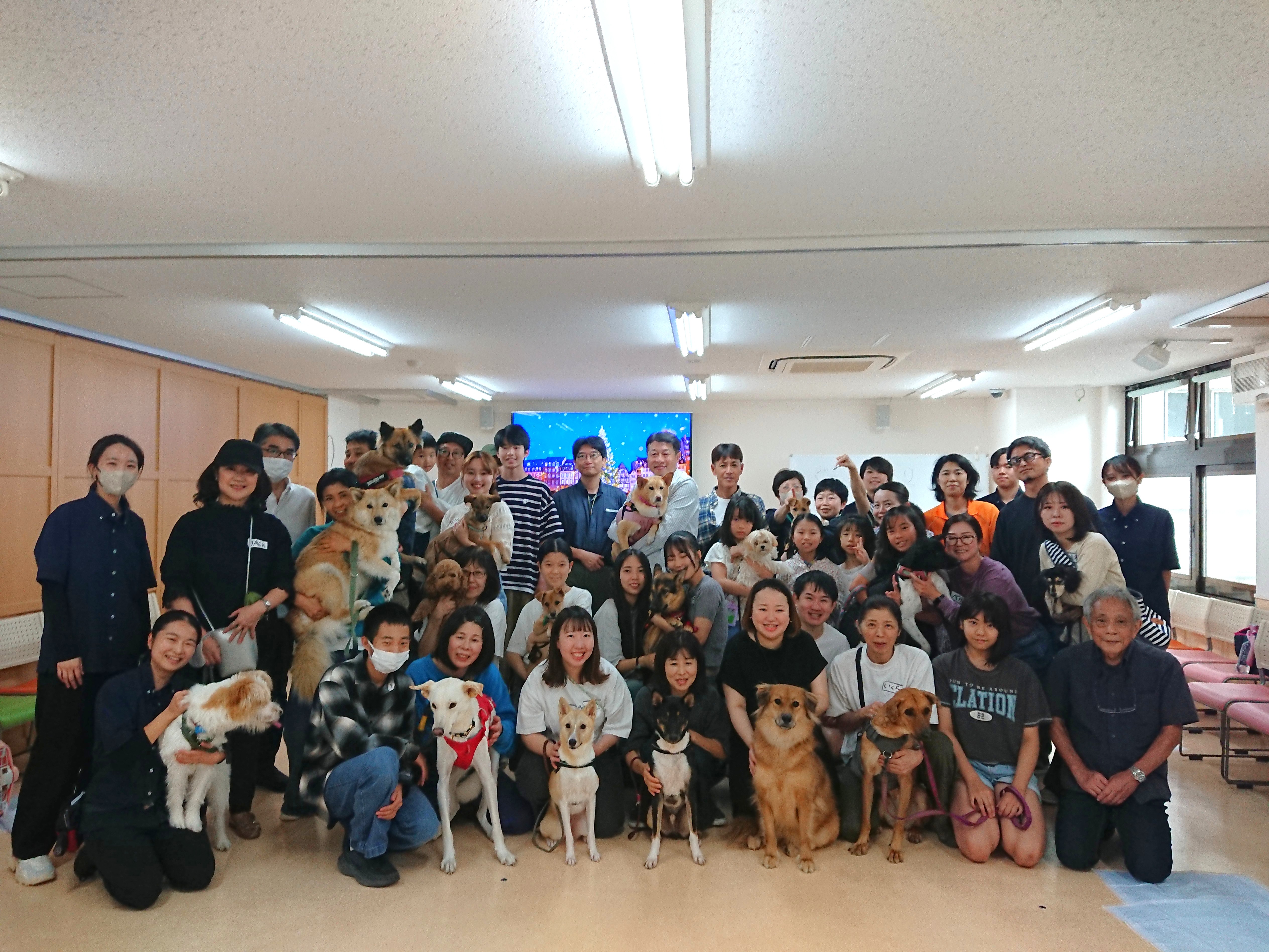 2025年10月12日/保護犬とお茶会