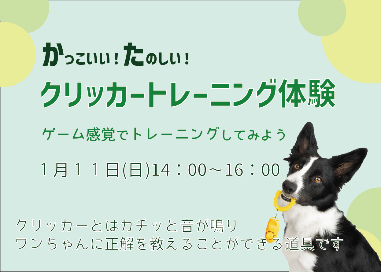 クリッカートレーニング