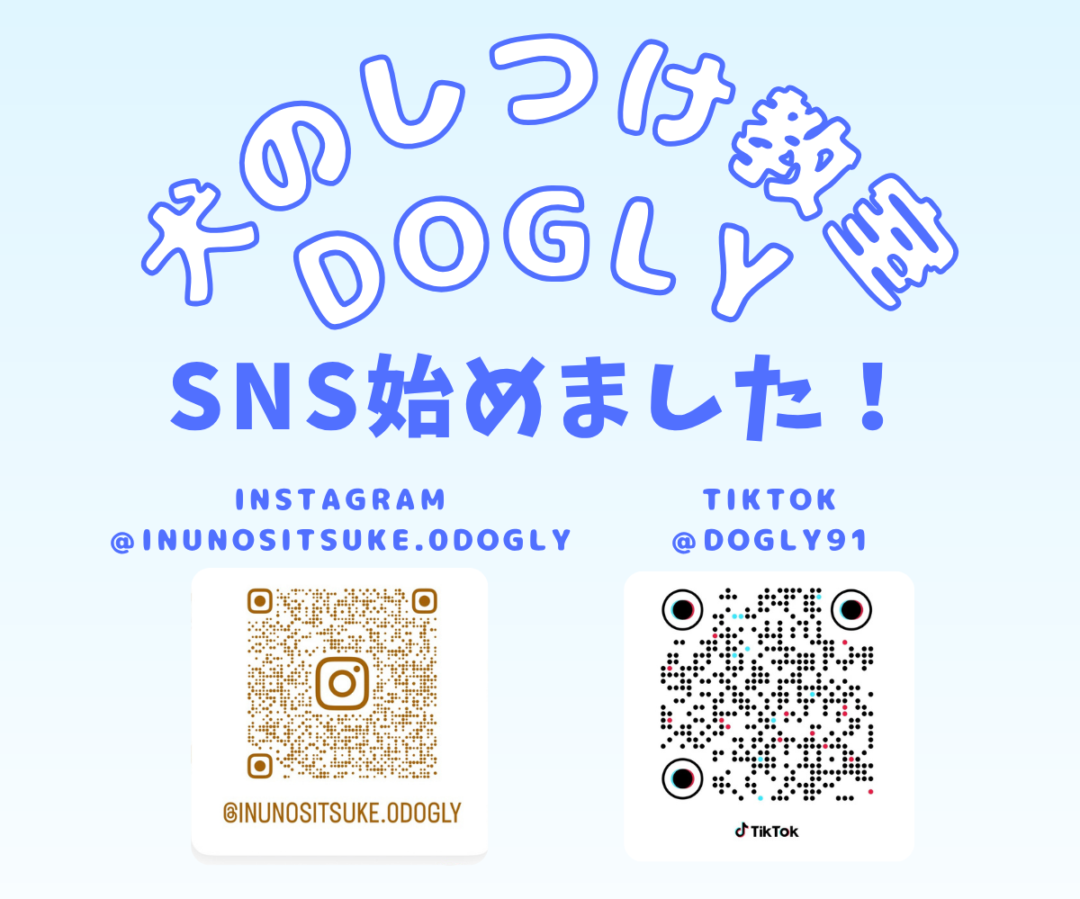 DOGLYSNSはじめました
