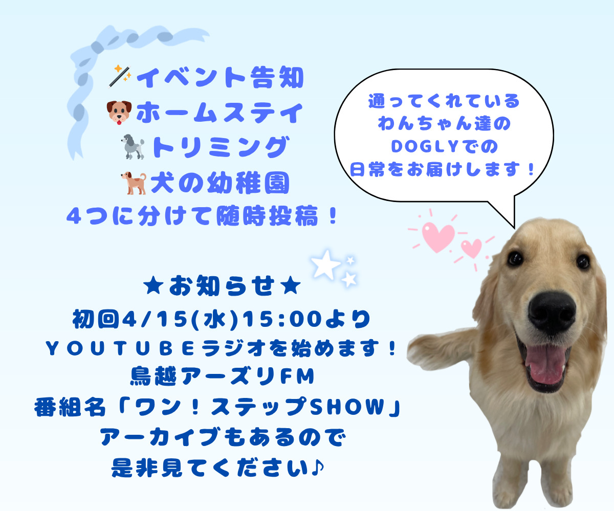 ワン！ステップSHOW