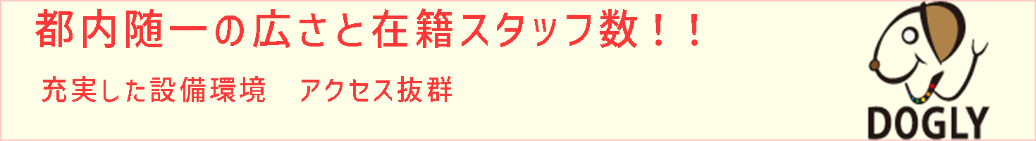DOGLY愛犬E-SCHOOLのご案内
