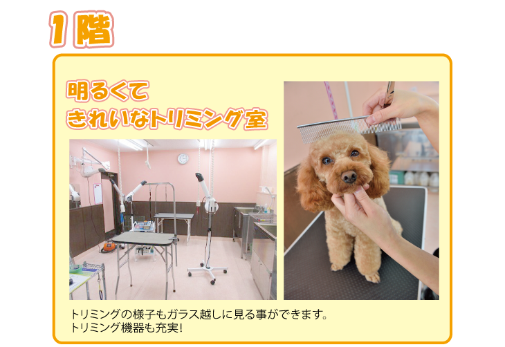 トリミング室・リサイクルショップ