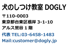 犬のしつけ教室DOGLY 東京都台東区根岸2-1-4 TEL:03-6458-1483
