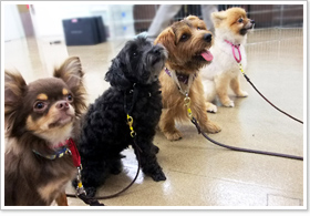 みんなでお座り