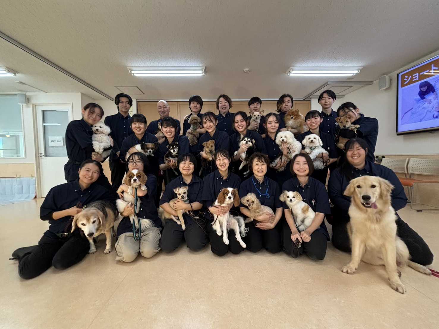 DOGLY愛犬E-SCHOOLのご案内