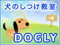 犬のしつけ教室DOGLY東京