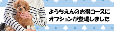 お得オプション