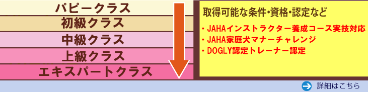 選べるレッスンコース!