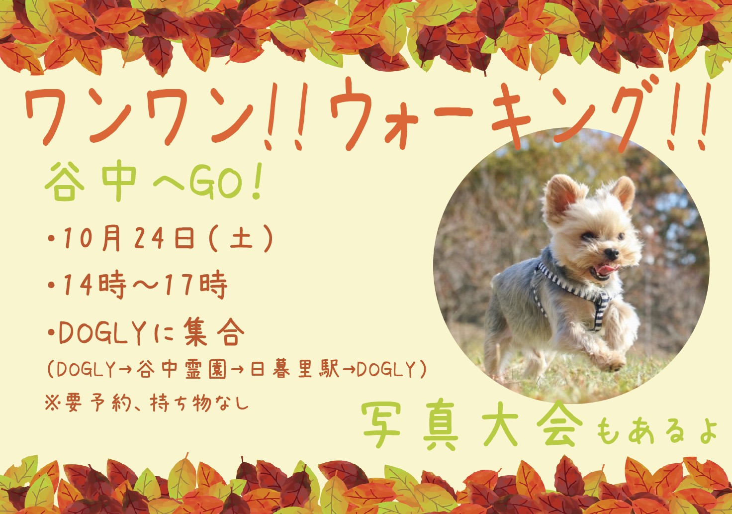 ワンワン!!ウォーキング!!