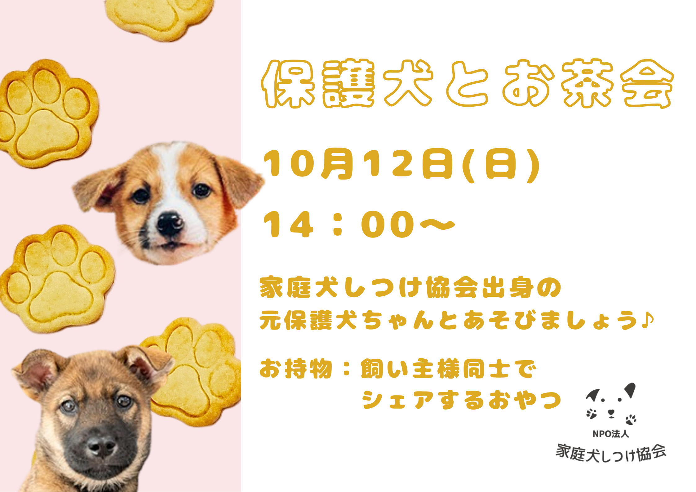 保護犬とお茶会