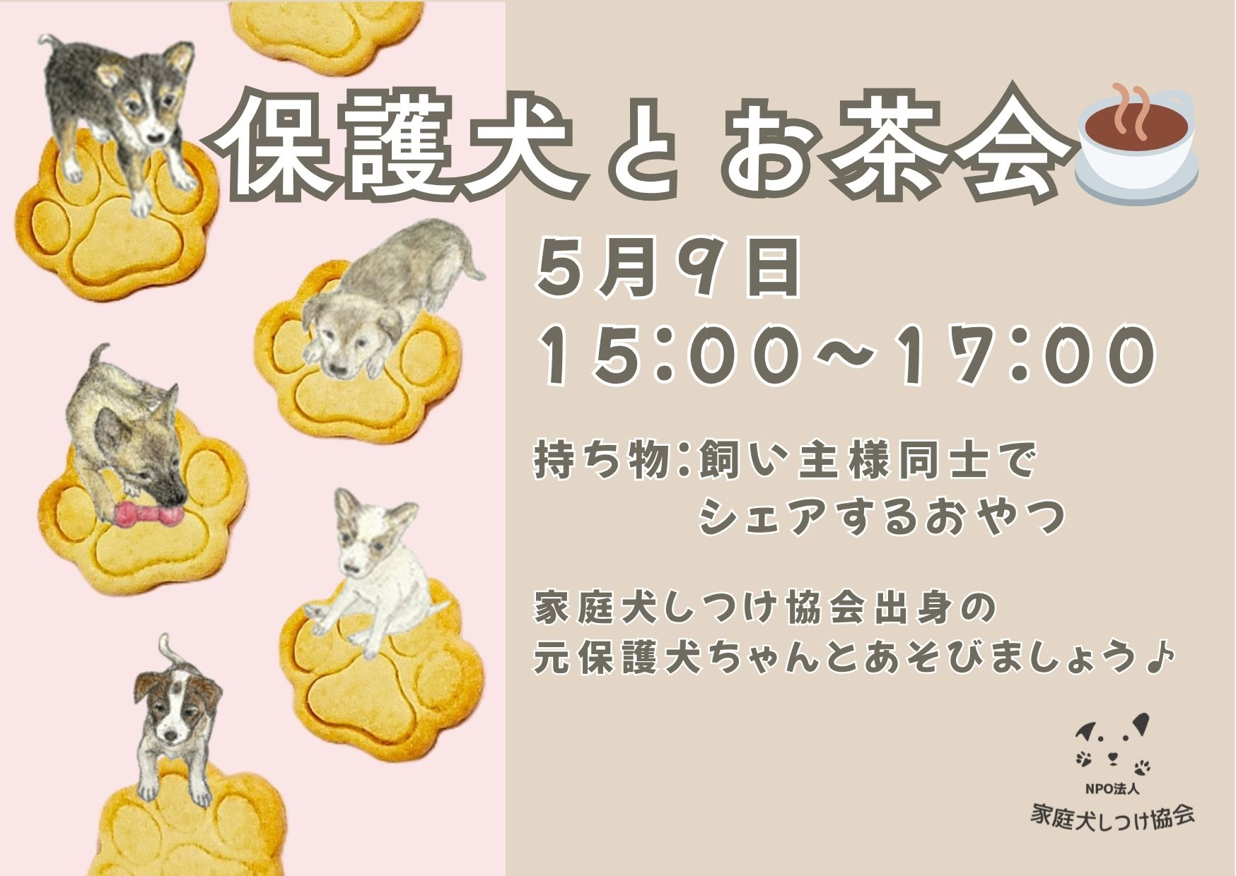 保護犬とお茶会